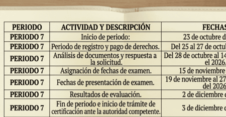 Periodo 7 Bachillerato